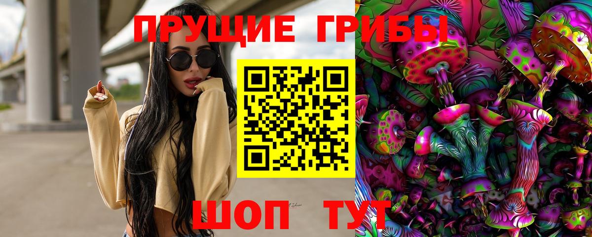 Псилоцибиновые грибы Psilocybe Мыски