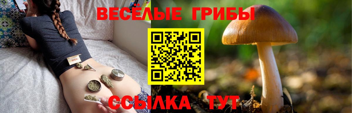 Галлюциногенные грибы прущие грибы  Вход с VPN  Галлюциногенные грибы мухоморы  где можно купить   Мыски 